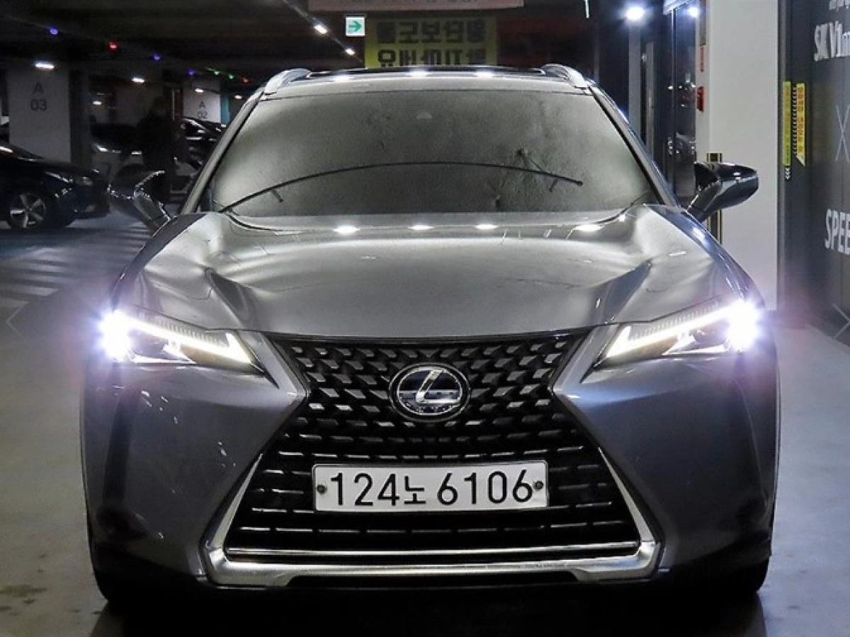 LEXUS UX250H