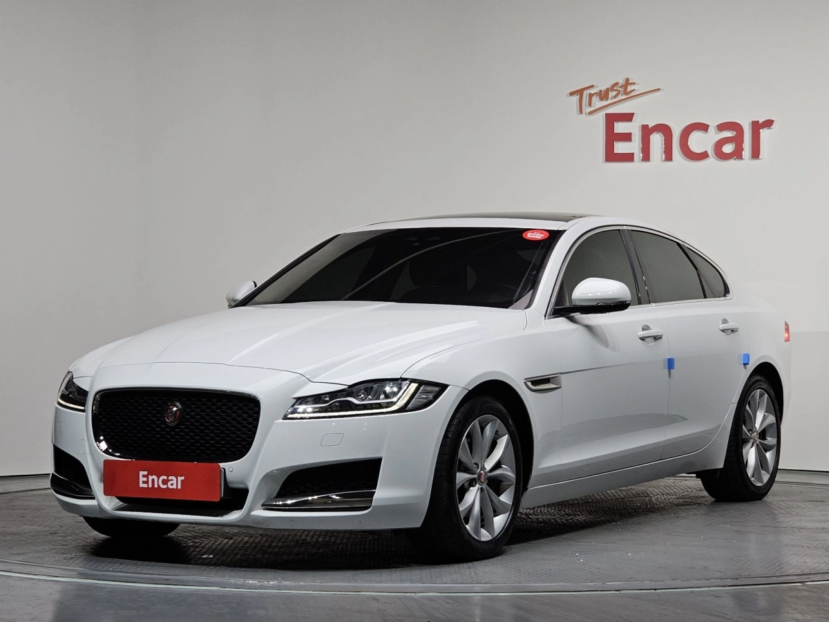 JAGUAR XF X260  2019