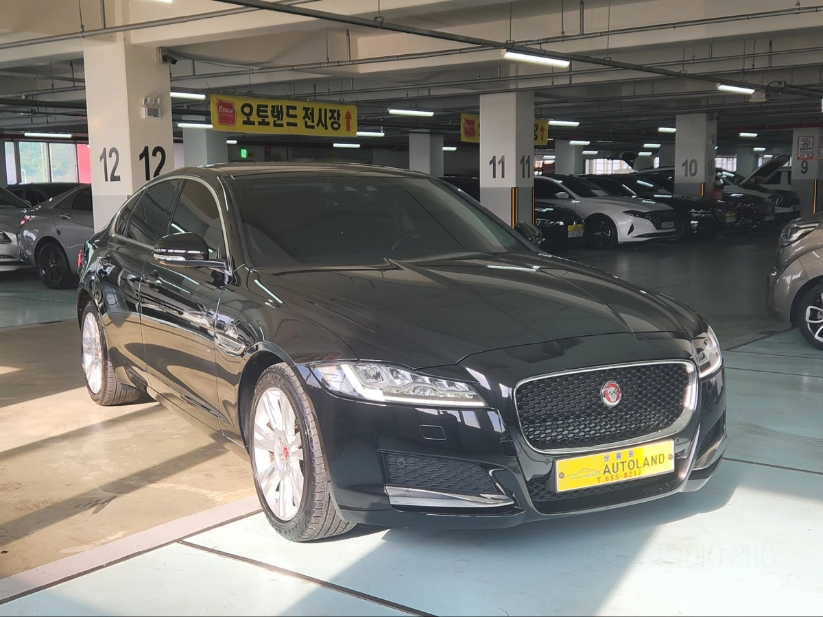 JAGUAR XF X260  2019