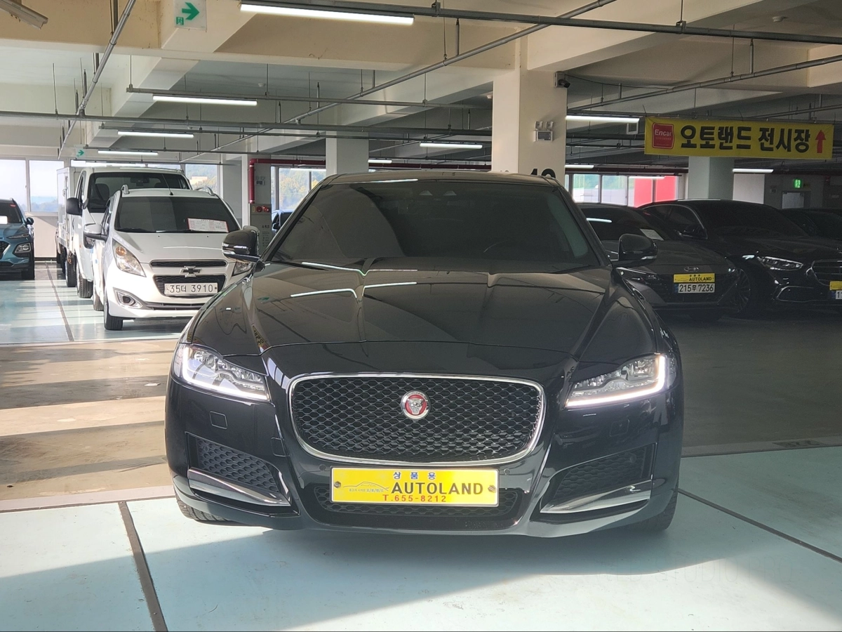 JAGUAR XF X260