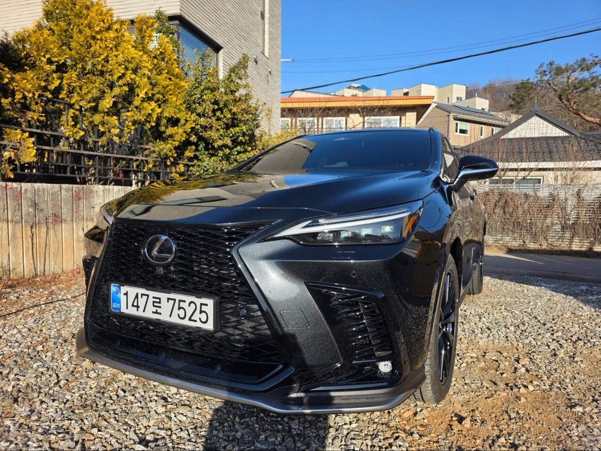 LEXUS NX450H+  2025