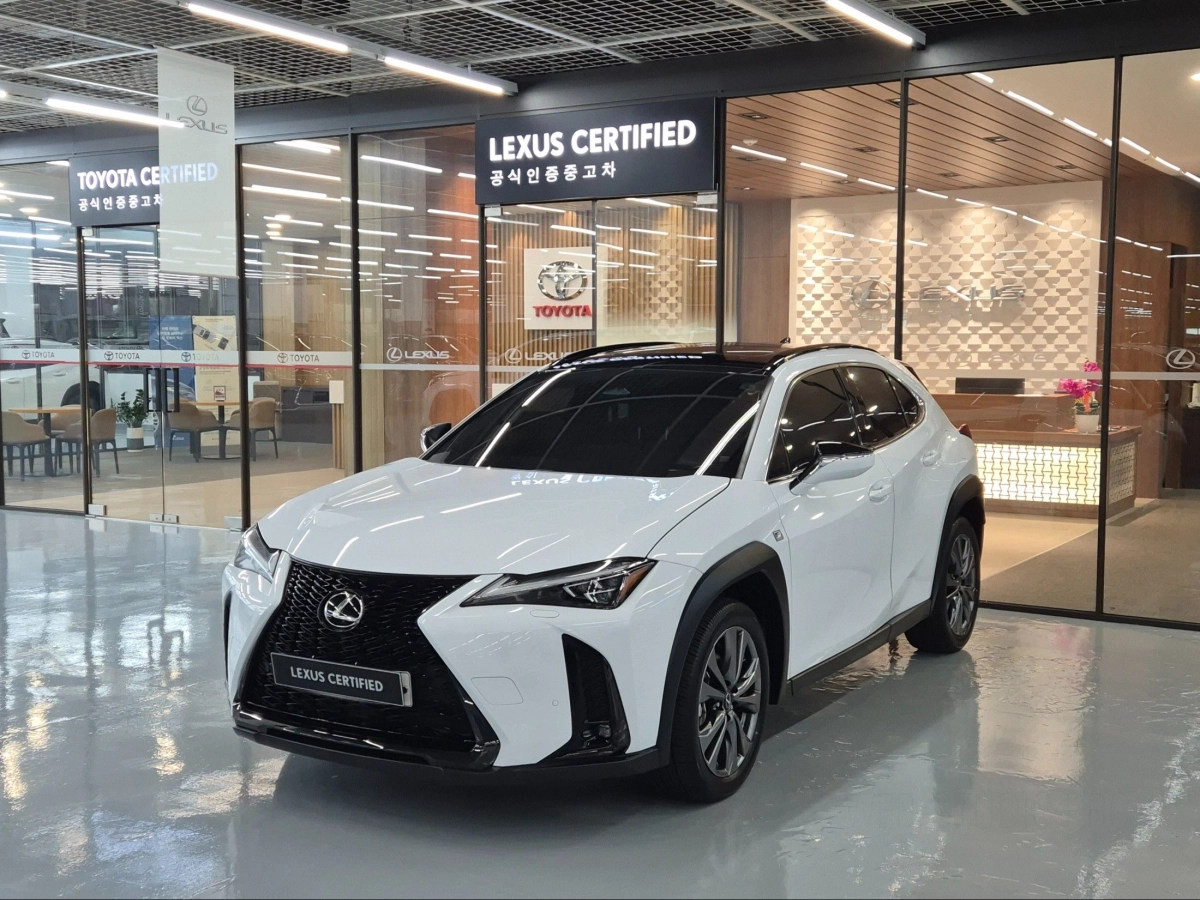 LEXUS UX300H  2024