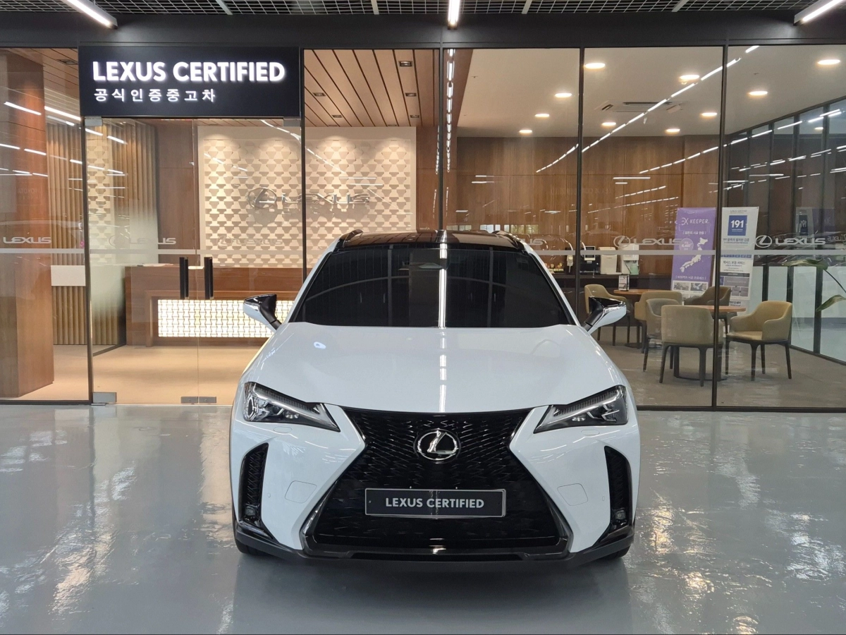 LEXUS UX300H