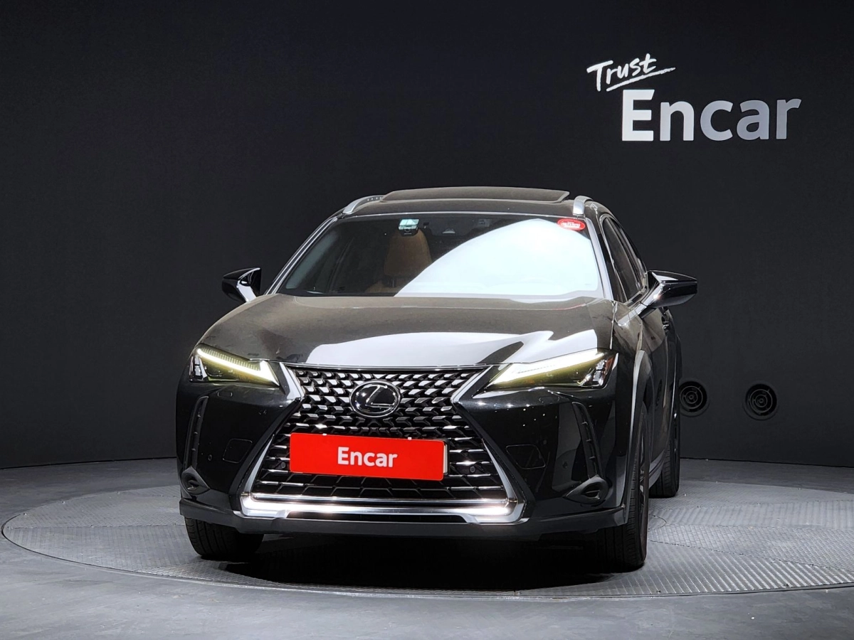 LEXUS UX250H