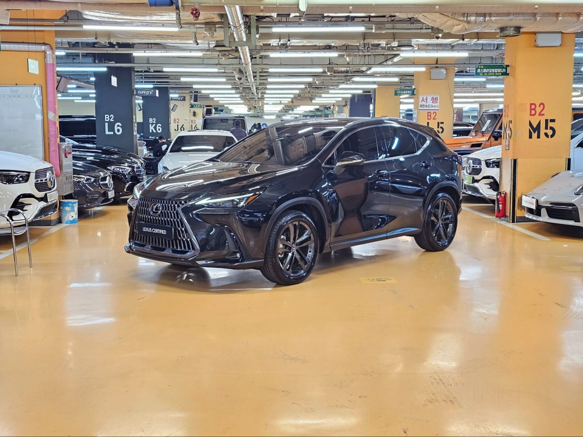 LEXUS NX350H  2025