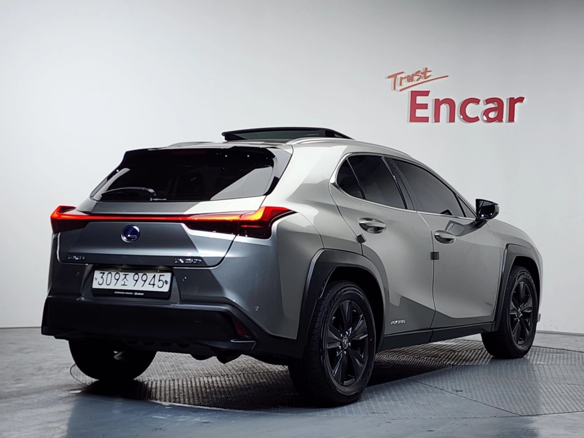 LEXUS UX250H