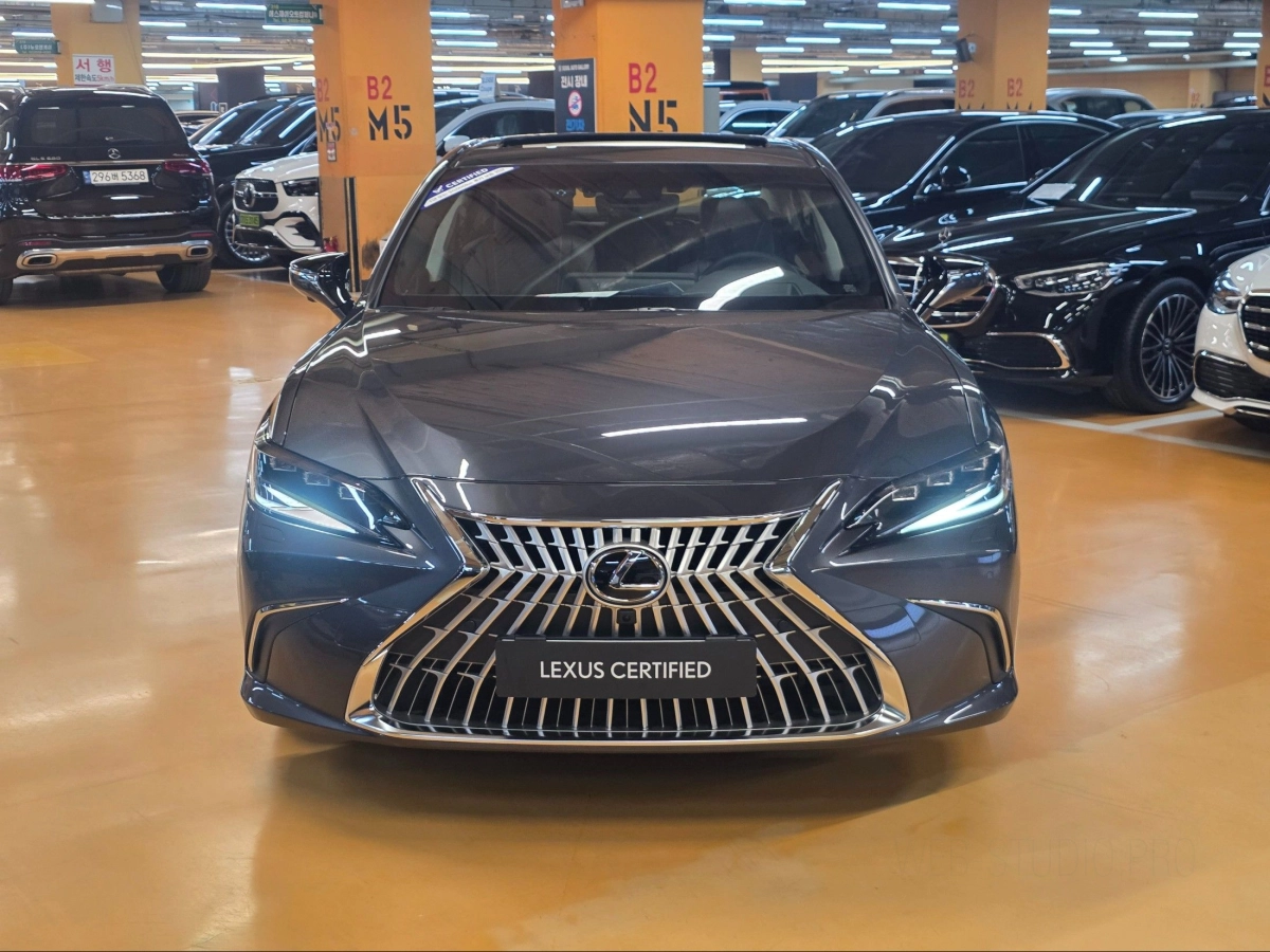 LEXUS ES300H
