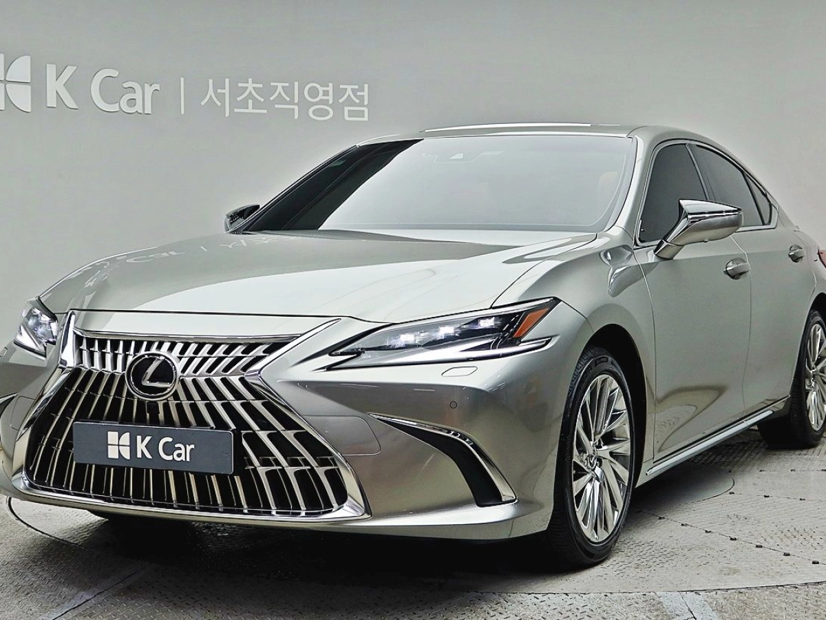 LEXUS ES300H