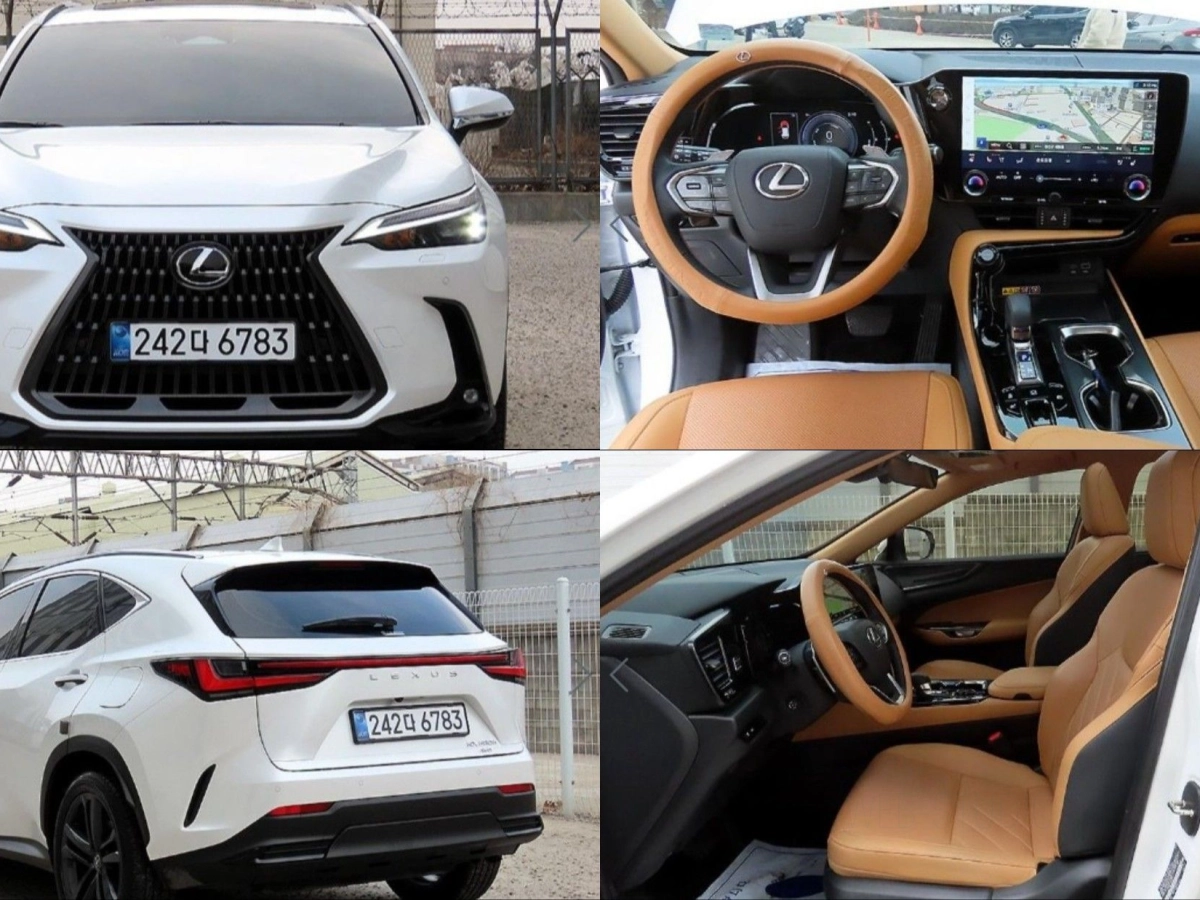 LEXUS NX350H  2025