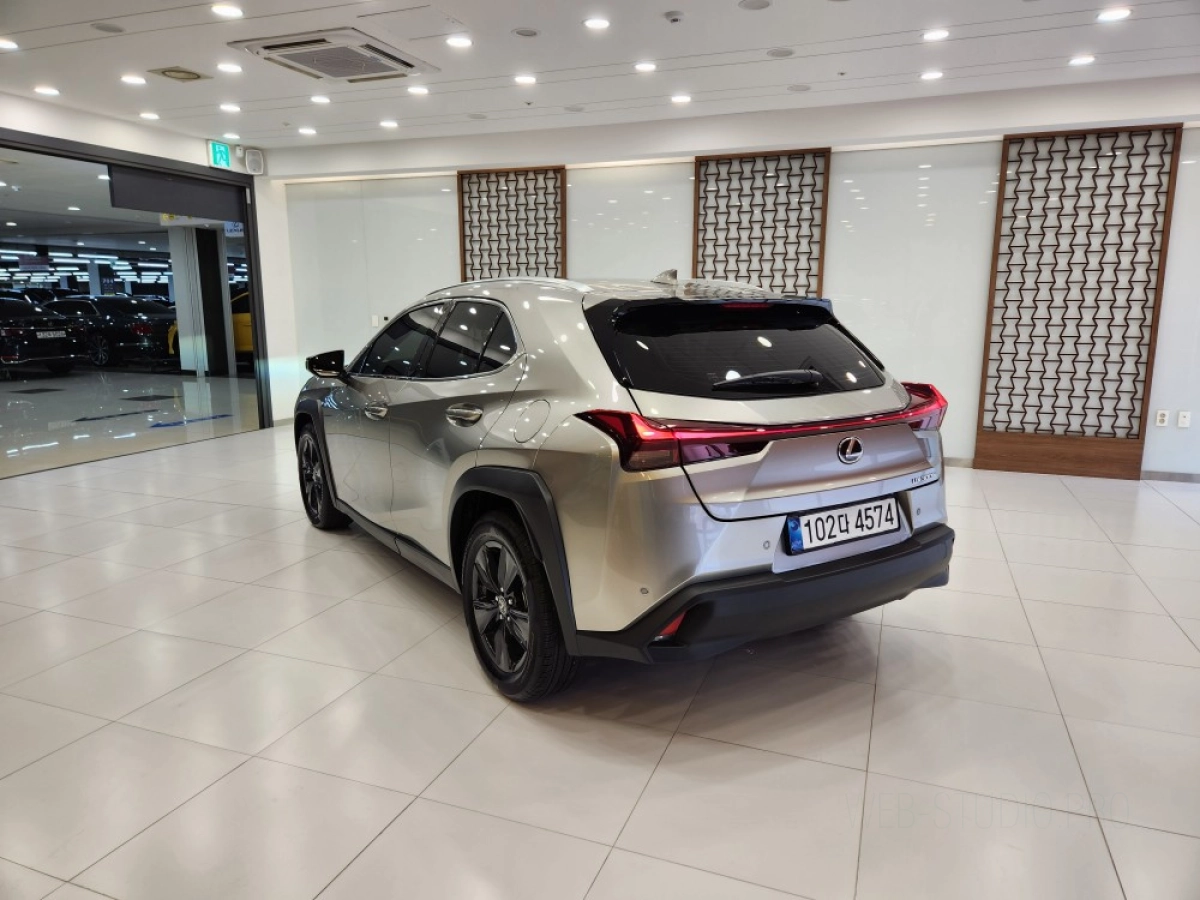LEXUS UX300H
