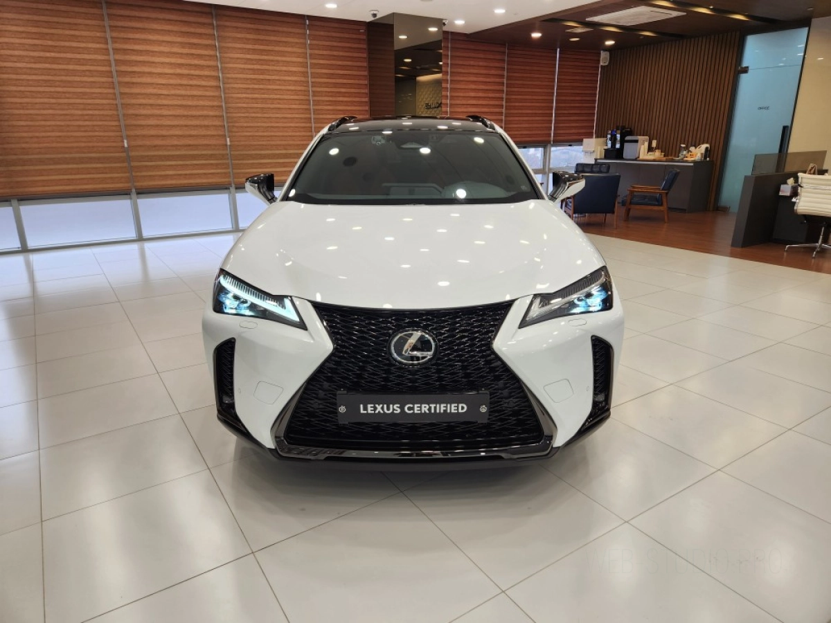 LEXUS UX300H