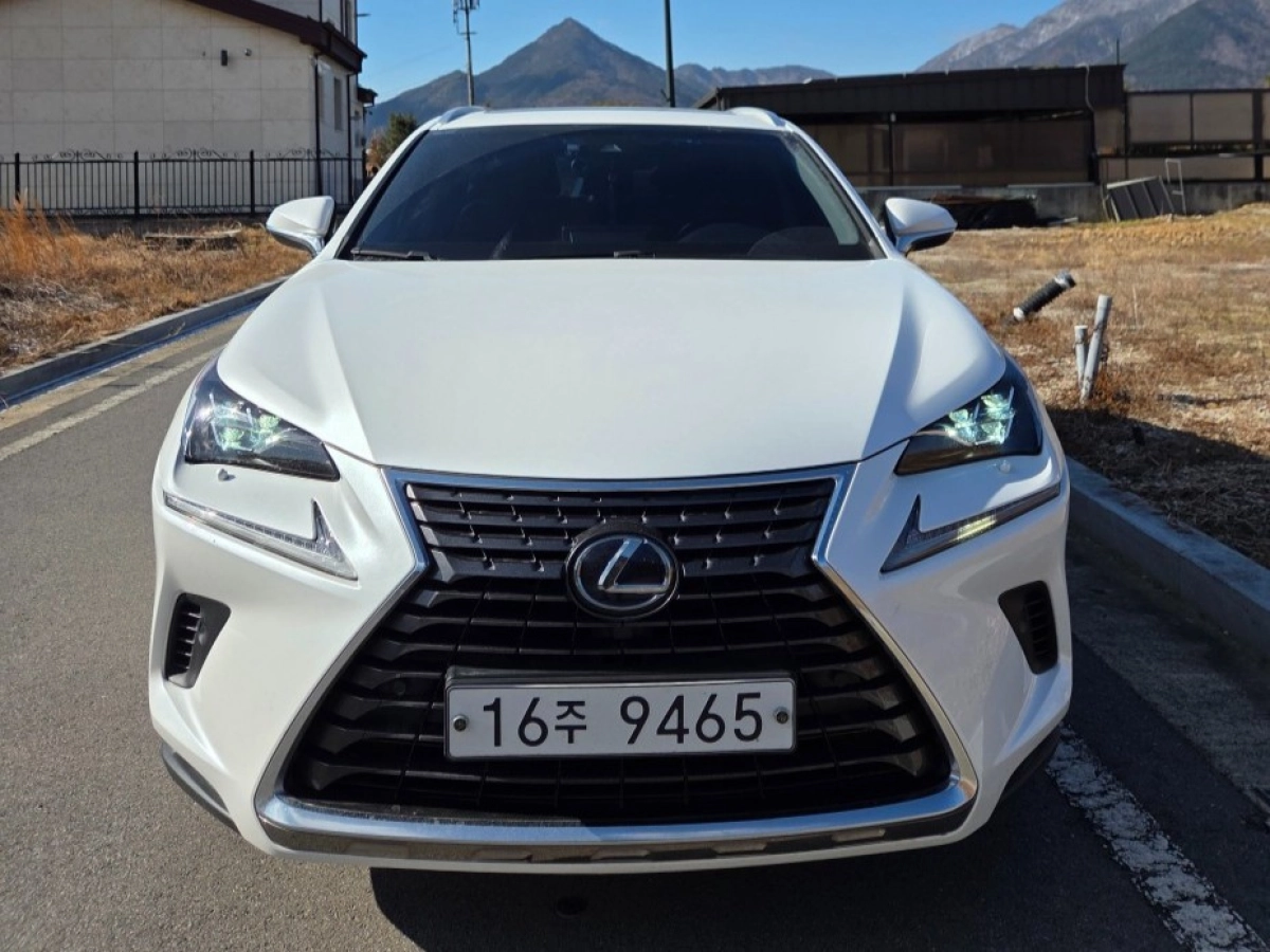LEXUS NX300H  2019