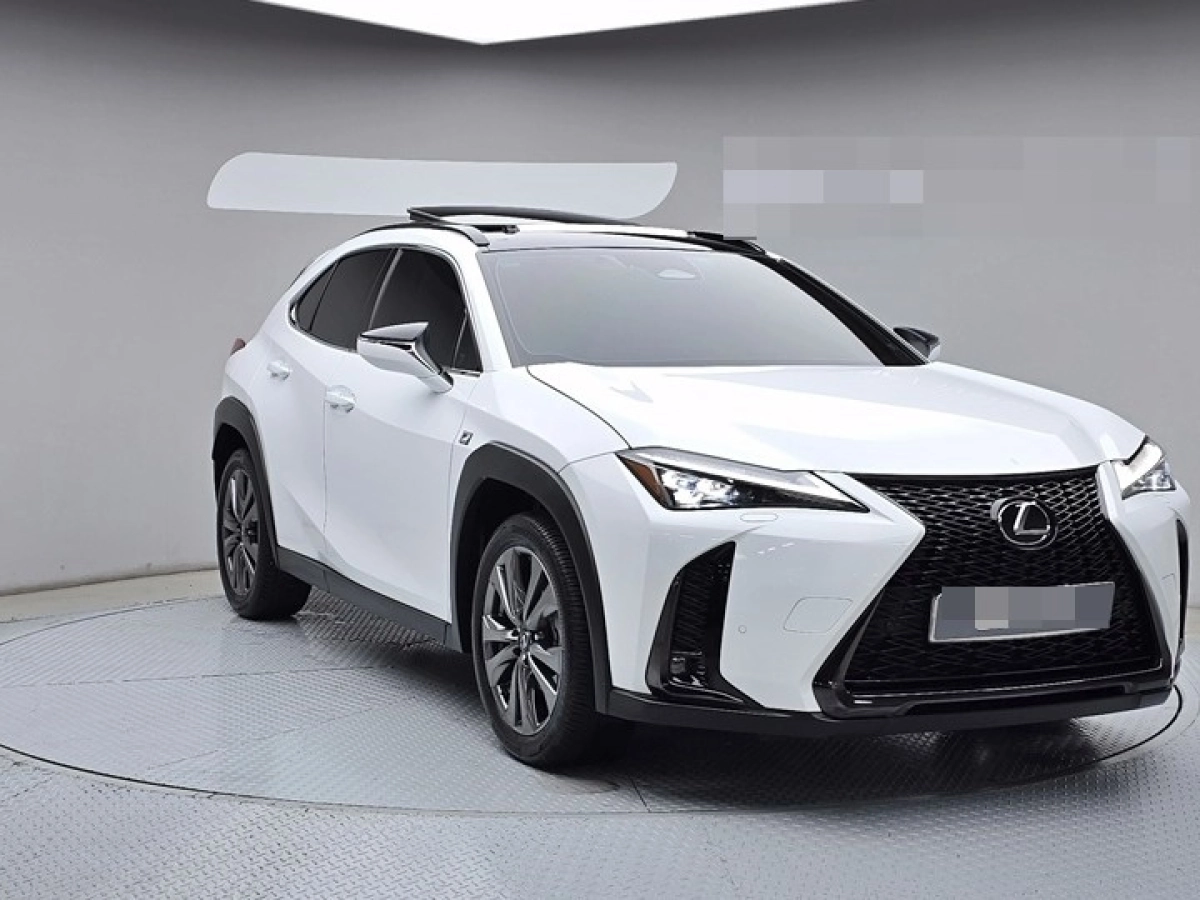 LEXUS UX300H