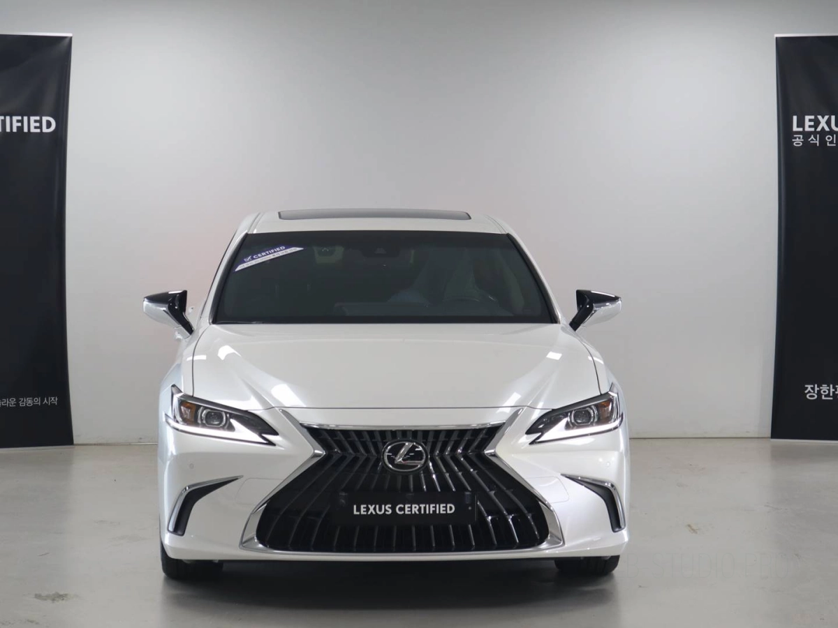 LEXUS ES300H