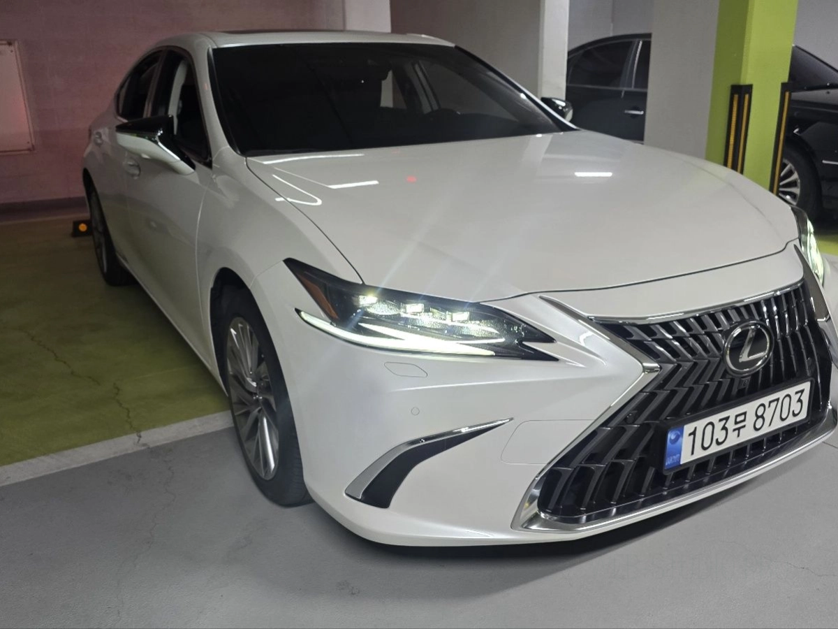 LEXUS ES300H
