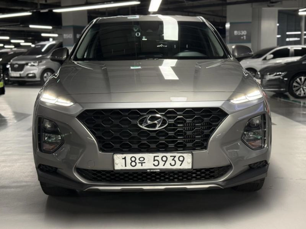 HYUNDAI SANTAFE TM  2019