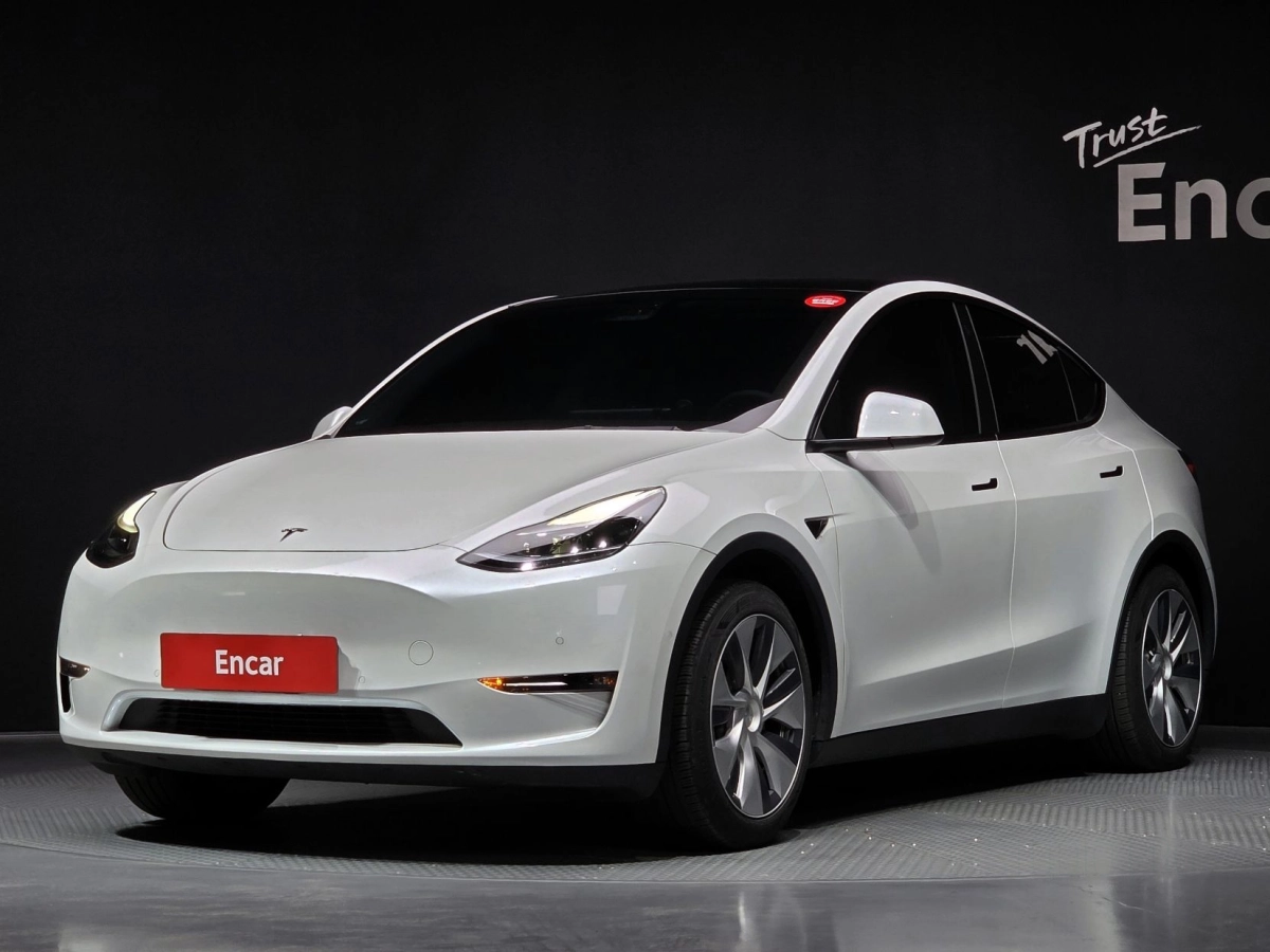 TESLA MODEL Y  2021