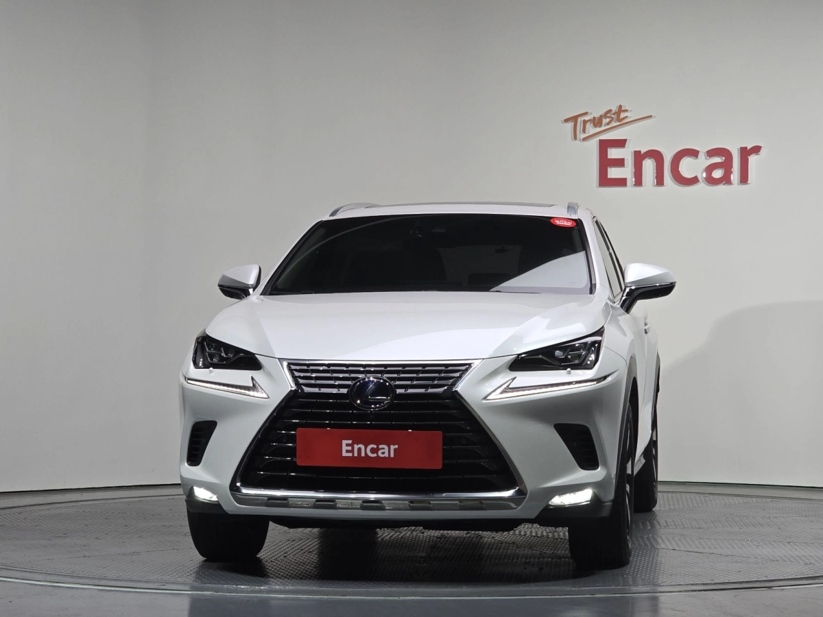 LEXUS NX300H