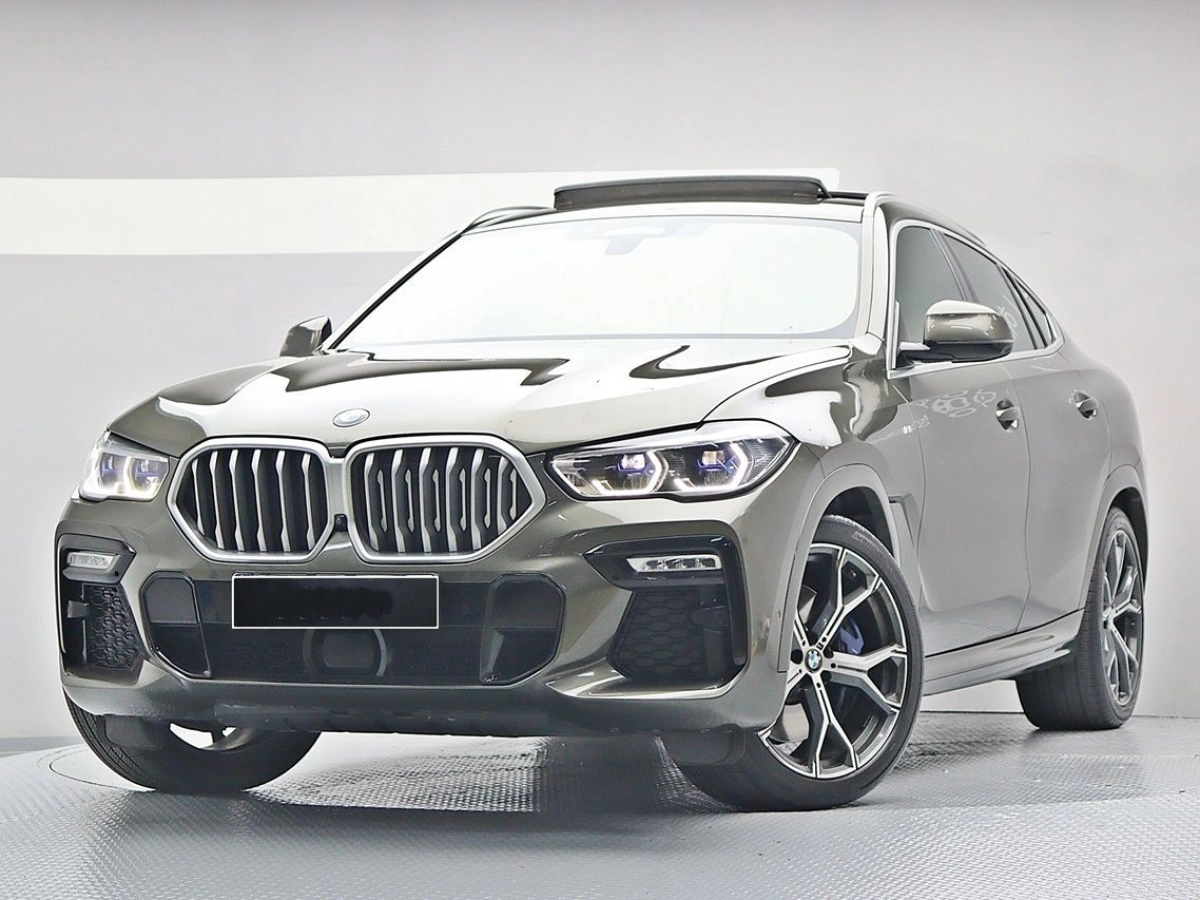 BMW X6 G06  2020