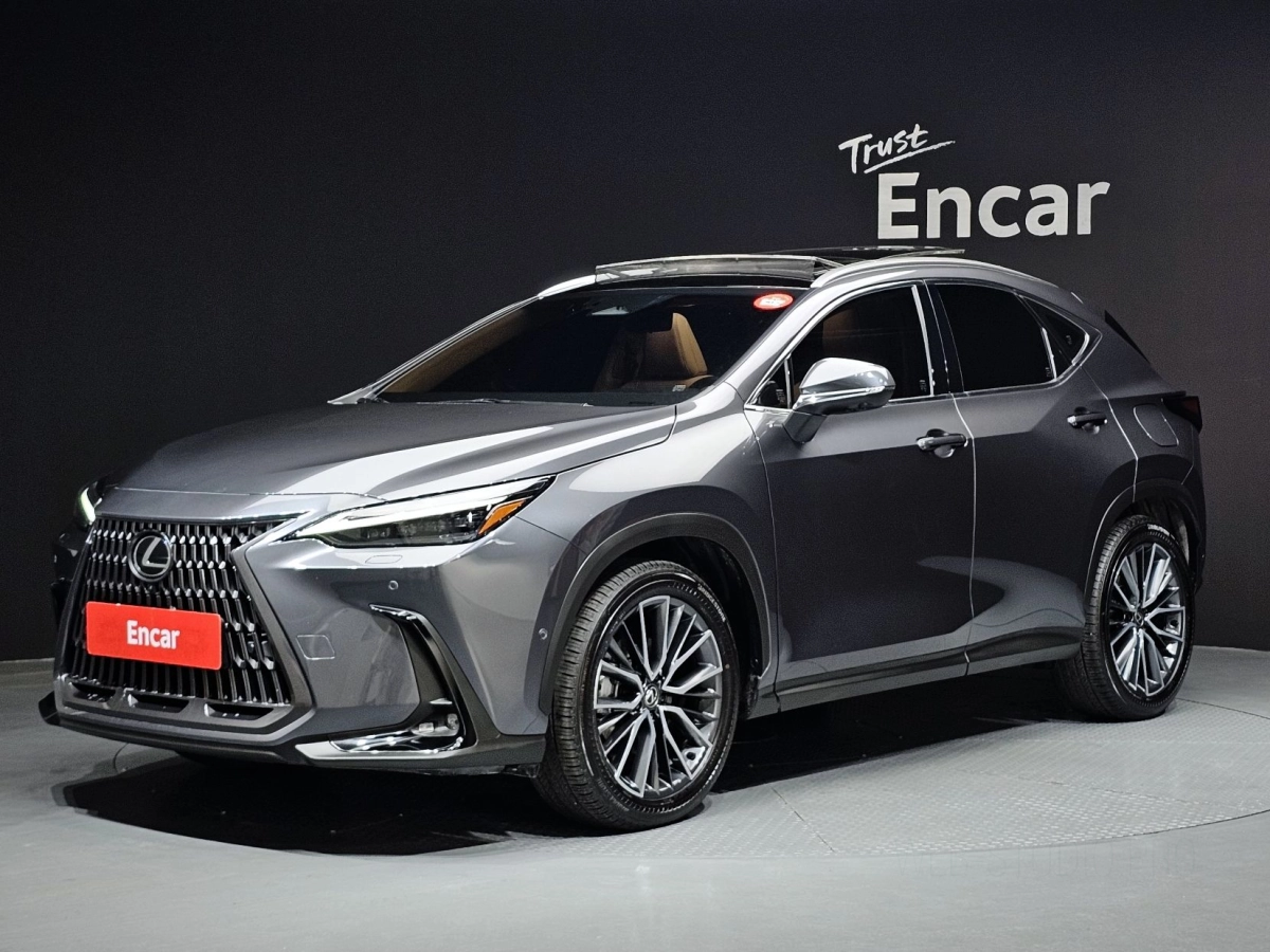 LEXUS NX350H  2024