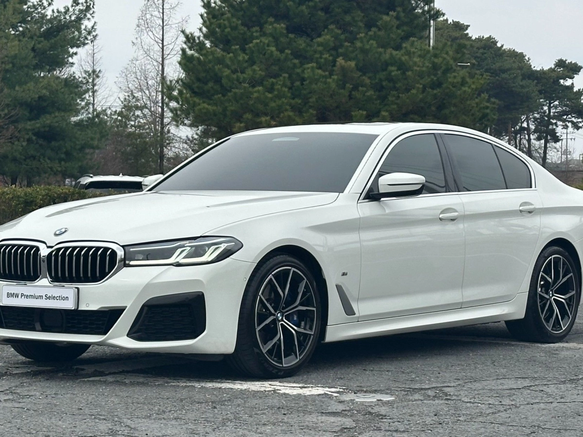 BMW 5-SERIES G30 2023