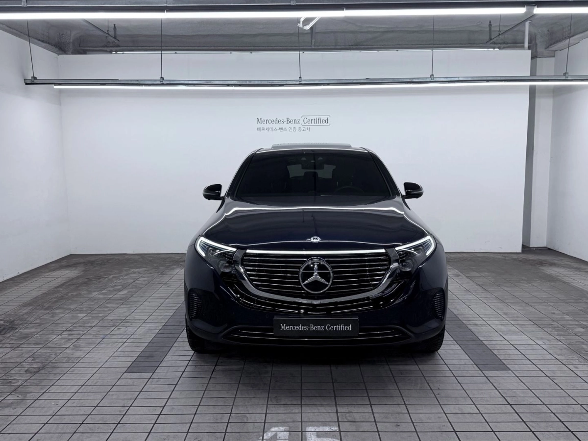MERCEDES BENZ EQC N293
