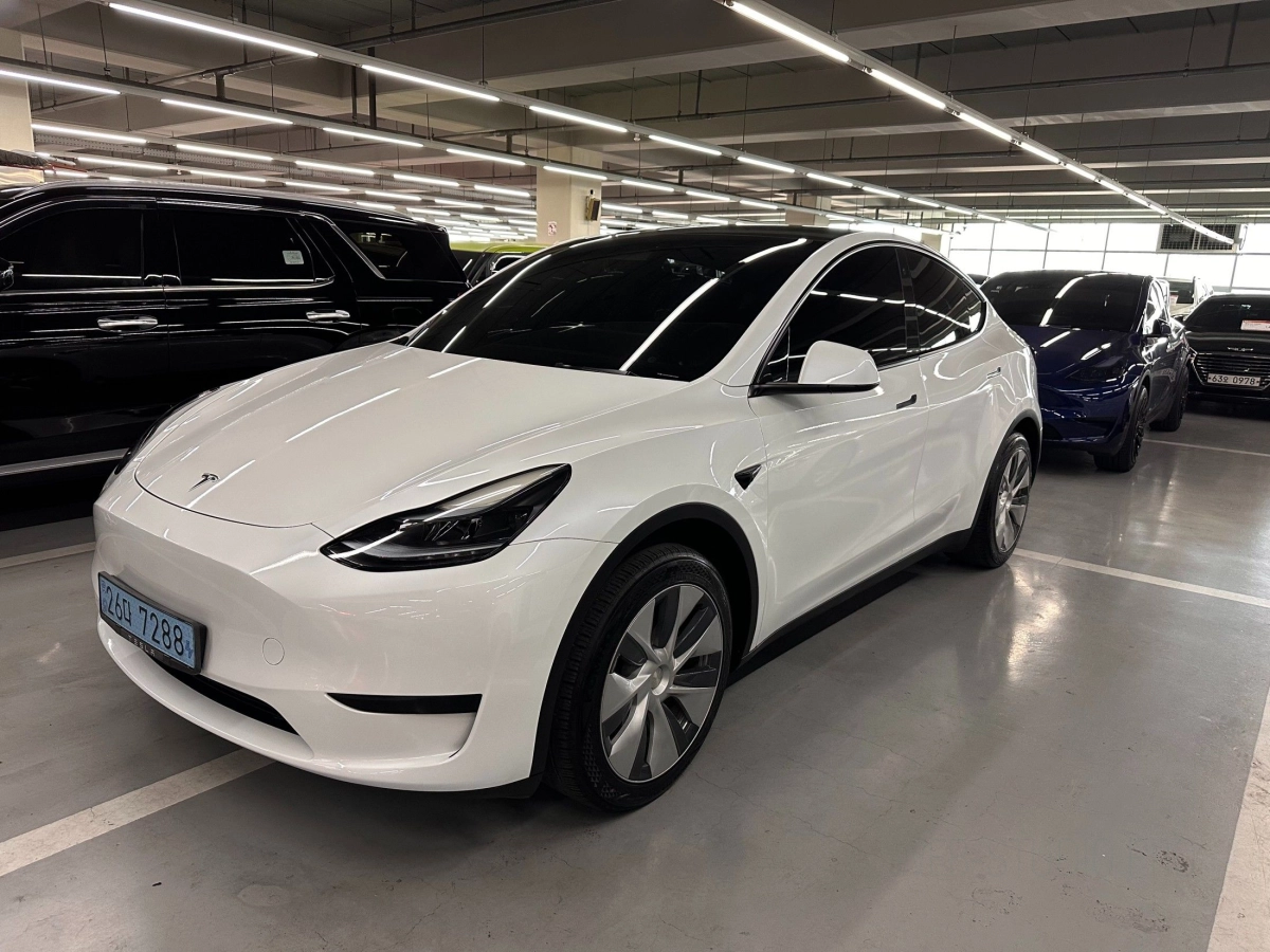 TESLA MODEL Y  2023