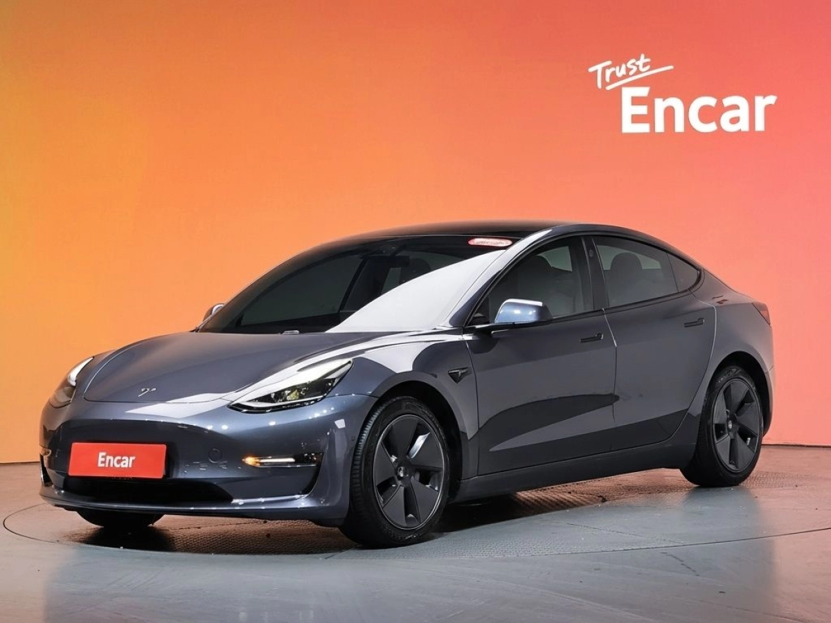 TESLA MODEL 3  2021