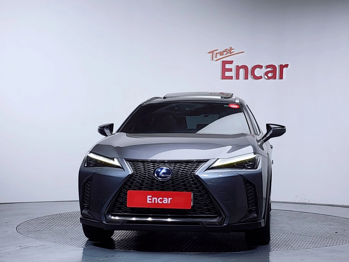 LEXUS UX250H