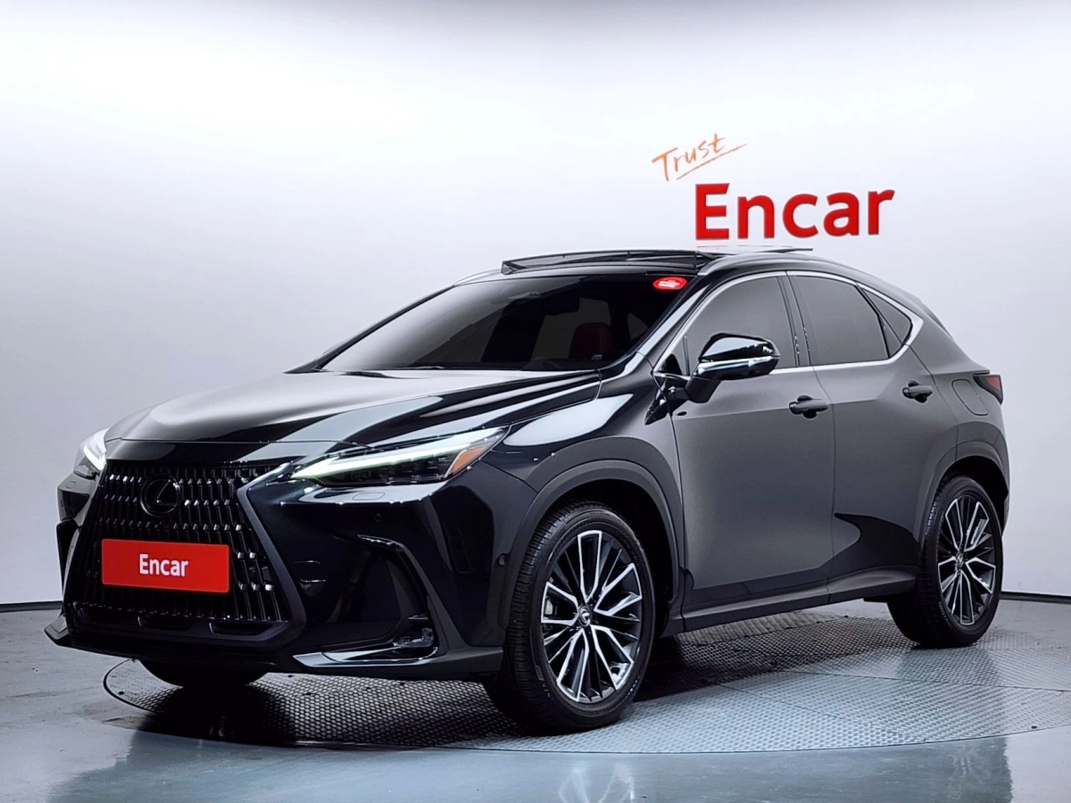 LEXUS NX350H 2024