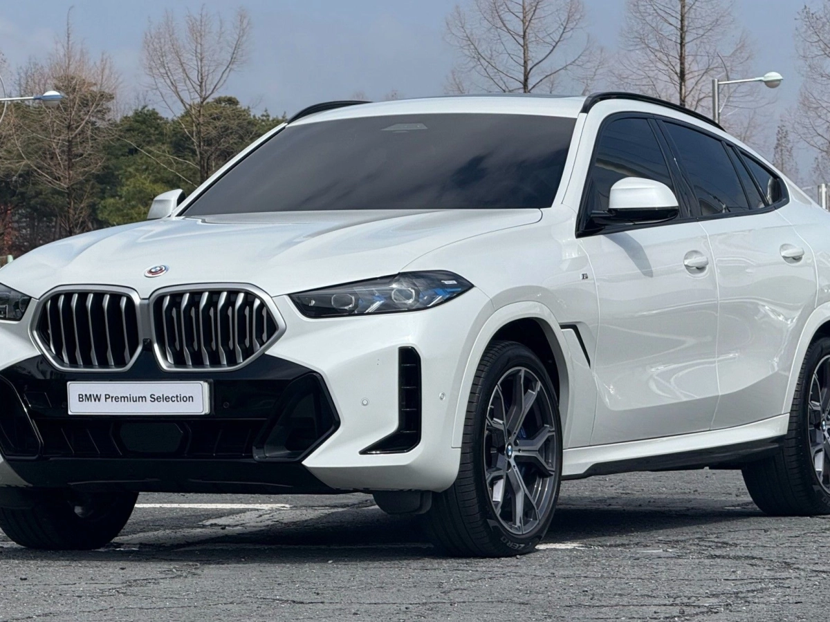 BMW X6 G06 2024