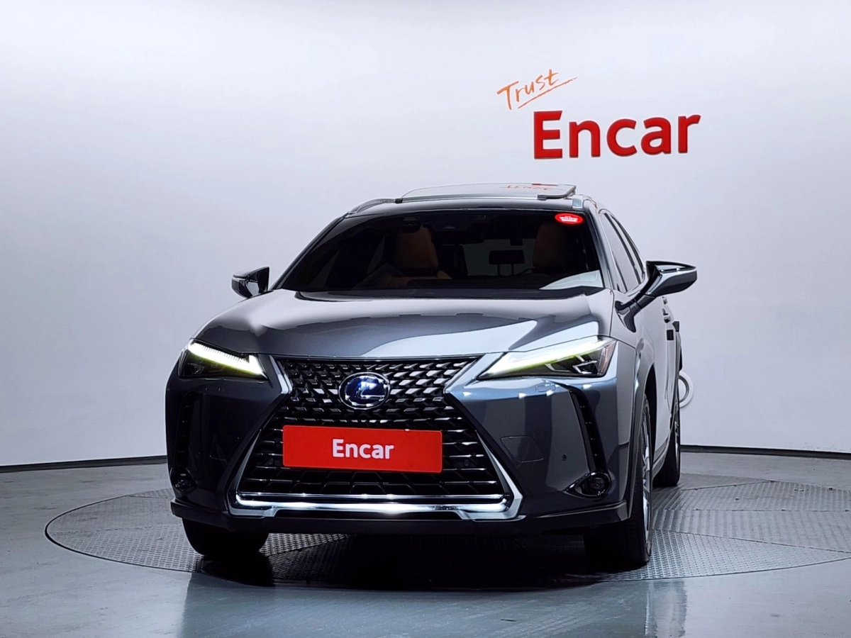 LEXUS UX300E