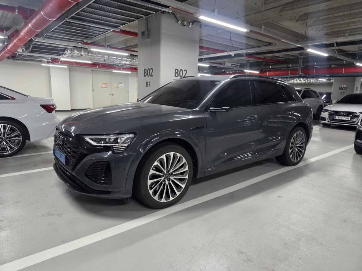 AUDI Q8 E-TRON GE  2024
