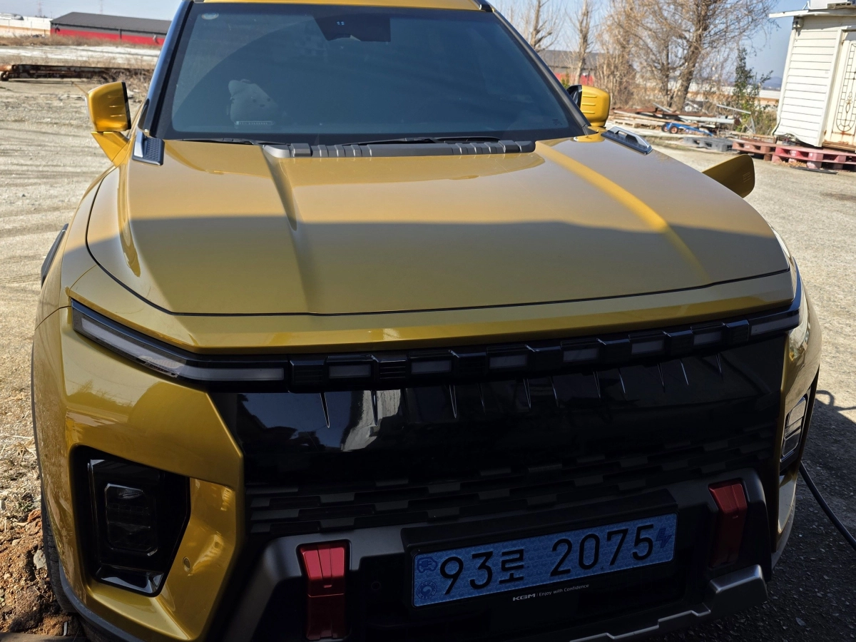 SSANGYONG MUSSO EV O100