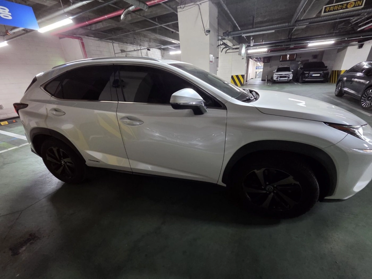 LEXUS NX300H
