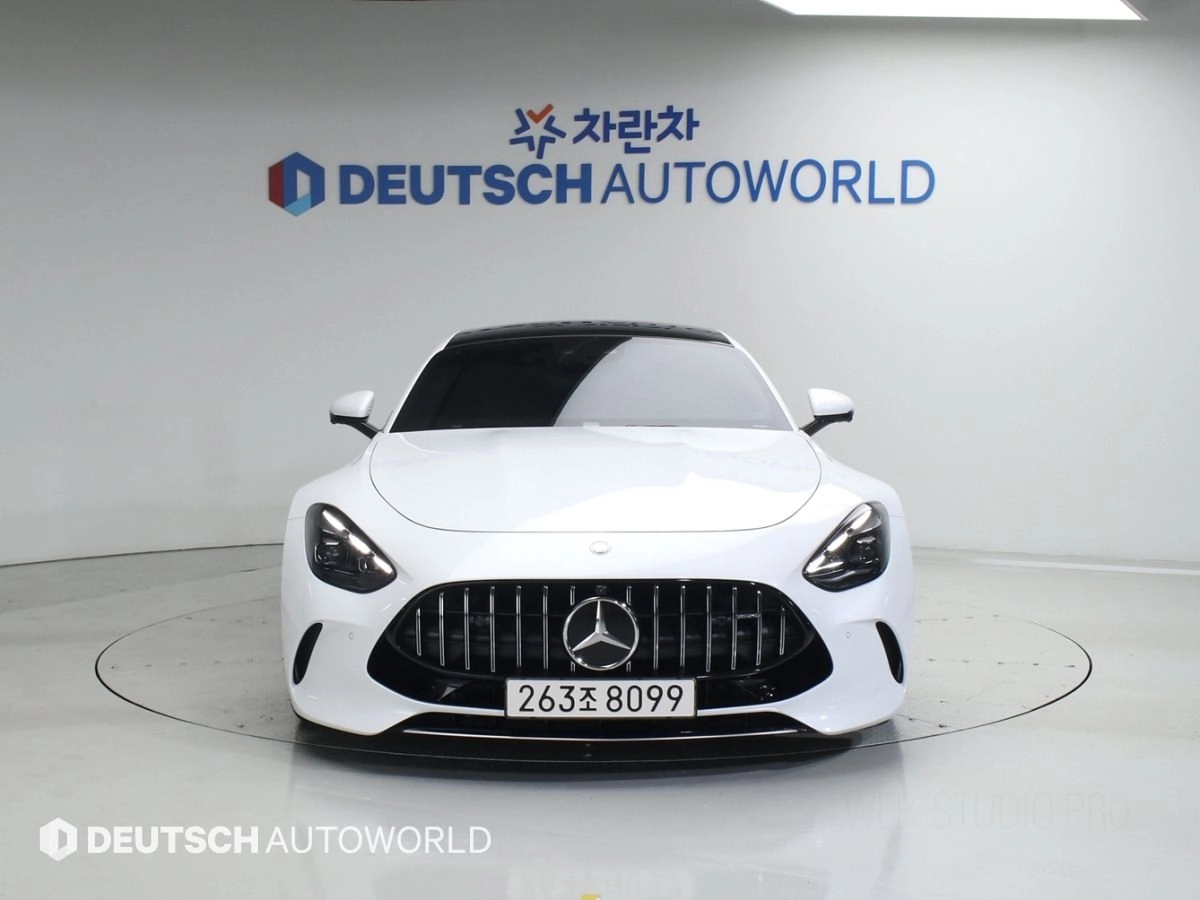 MERCEDES BENZ AMG GT C192