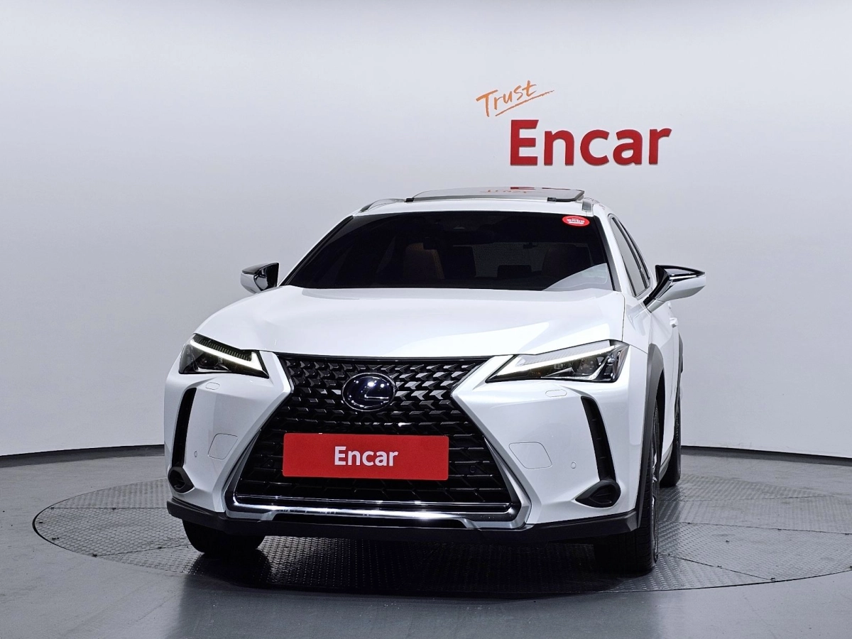 LEXUS UX250H