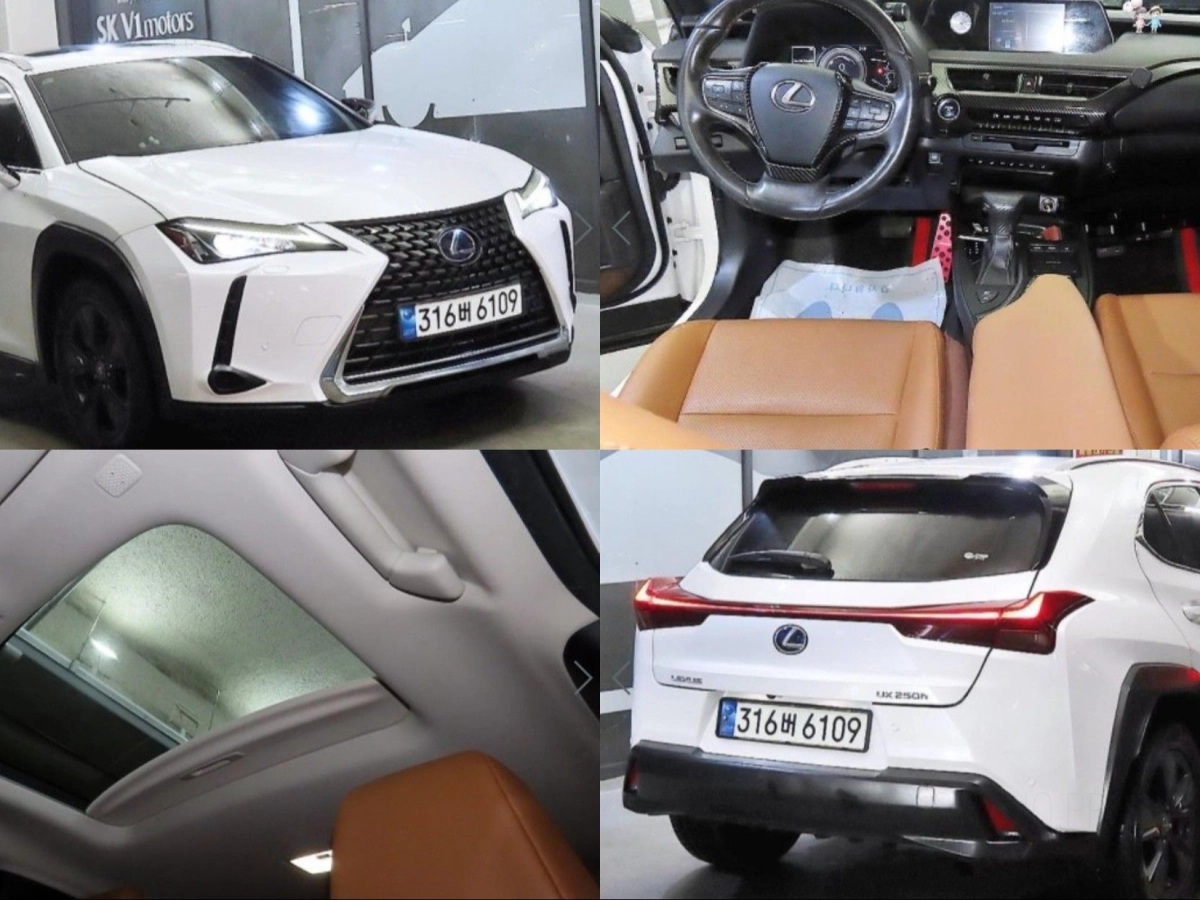 LEXUS UX250H 2019